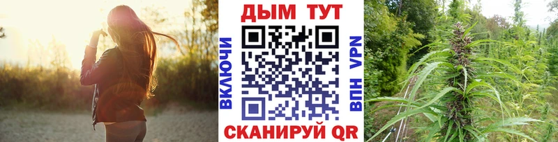 Каннабис Тбилисская