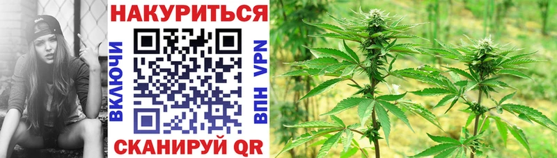 Купить где  Тбилисская  Бошки Шишки LSD WEED 